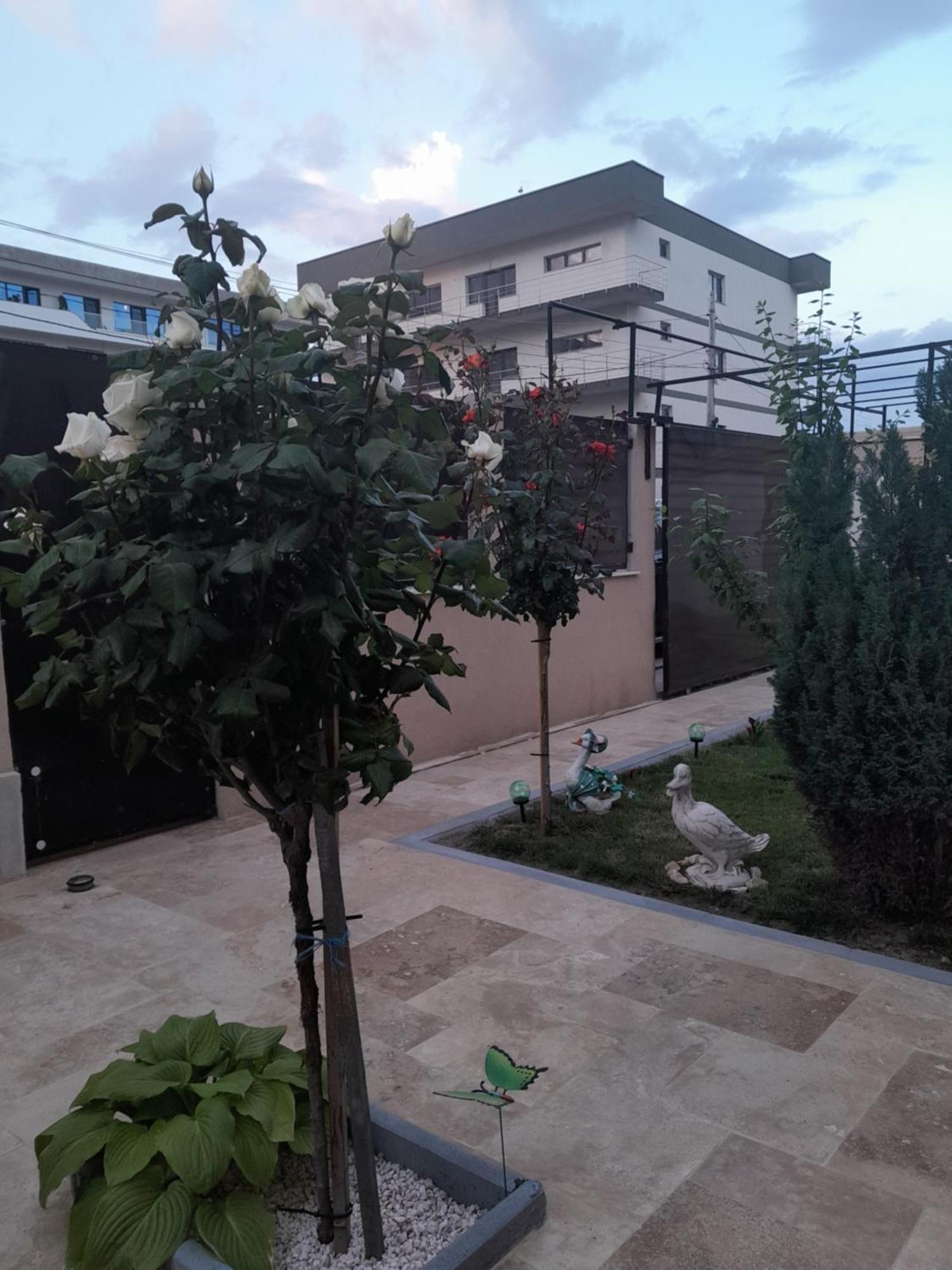 Casa Andrei Appartement Năvodari Buitenkant foto